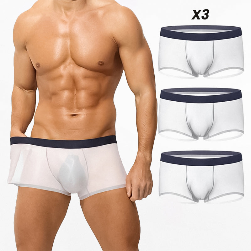 Ultra-Thin Ice Silk Transparent Boxer Briefs
