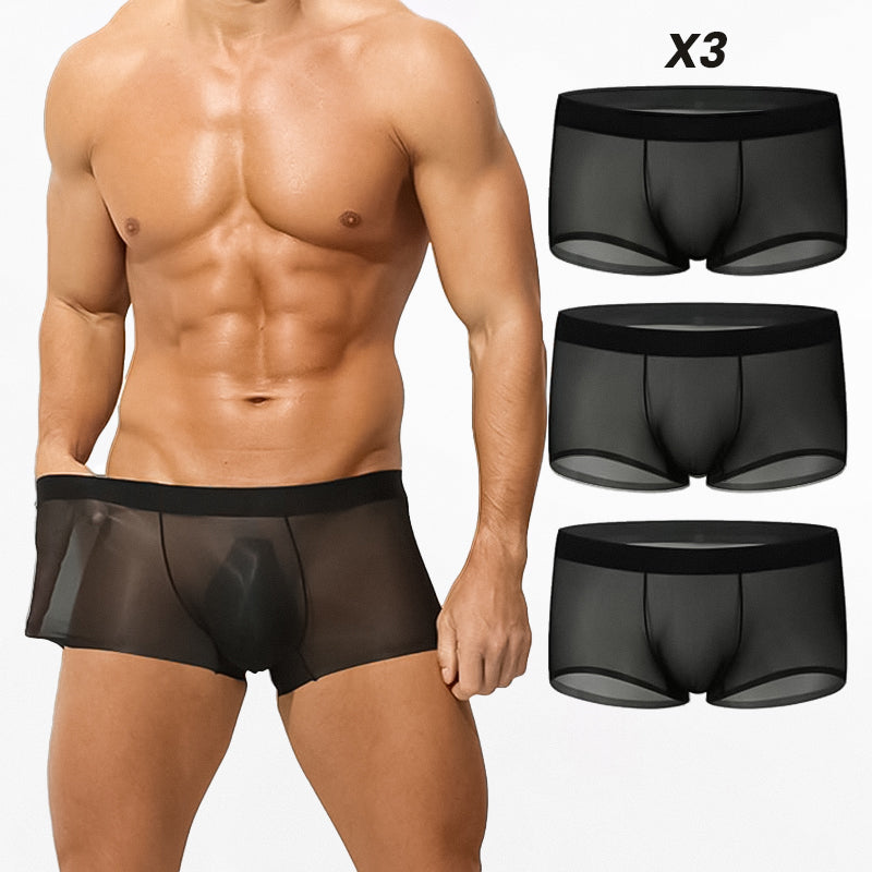 Ultra-Thin Ice Silk Transparent Boxer Briefs