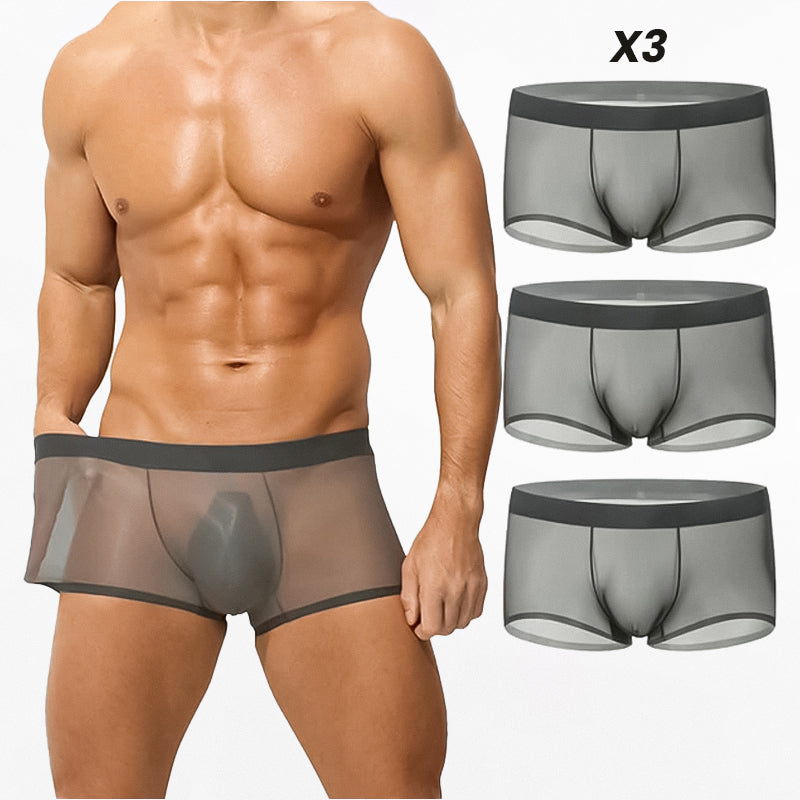 Ultra-Thin Ice Silk Transparent Boxer Briefs