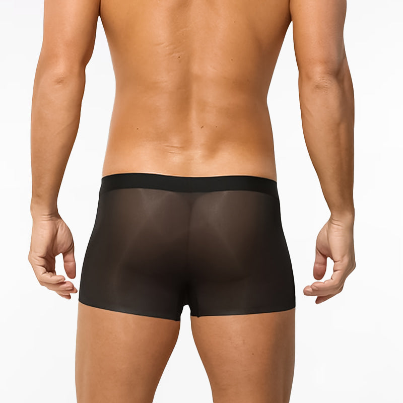 Ultra-Thin Ice Silk Transparent Boxer Briefs