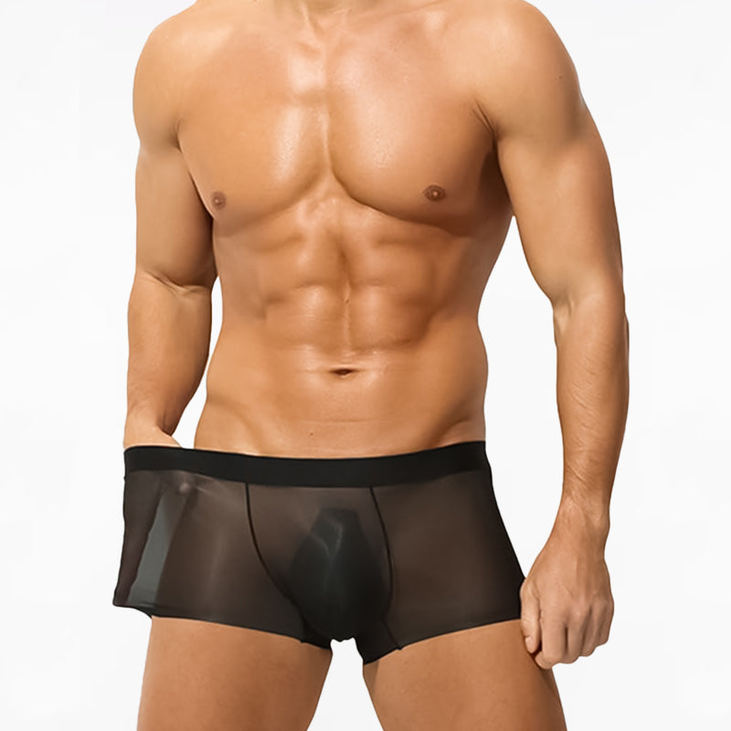Ultra-Thin Ice Silk Transparent Boxer Briefs