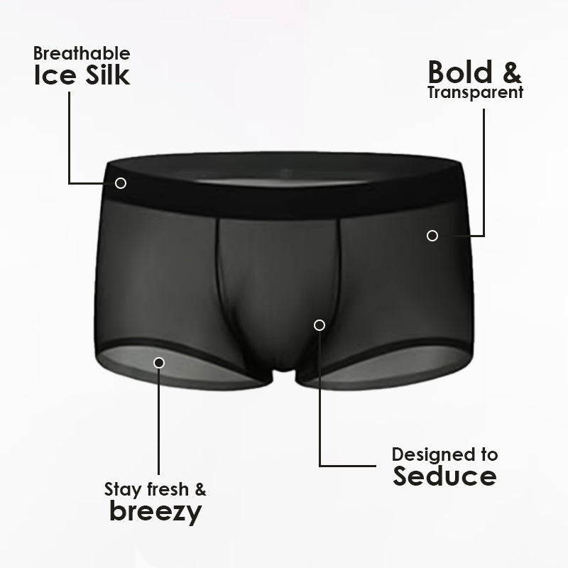 Ultra-Thin Ice Silk Transparent Boxer Briefs