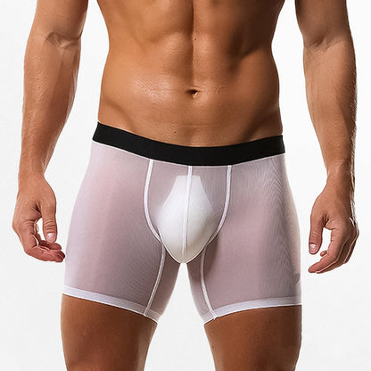 Ice Silk Mesh Boxer