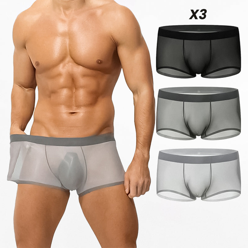 Ultra-Thin Ice Silk Transparent Boxer Briefs