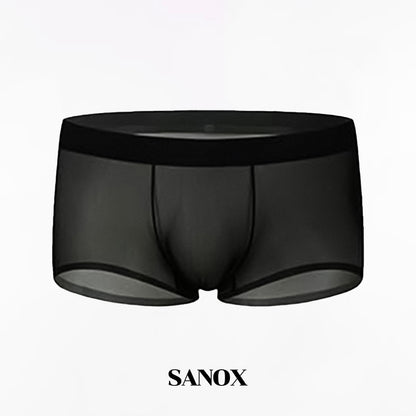 Ultra-Thin Ice Silk Transparent Boxer Briefs
