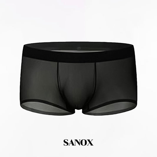 Ultra-Thin Ice Silk Transparent Boxer Briefs